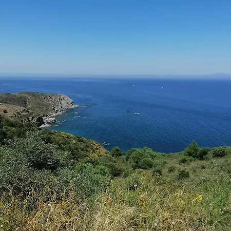 De Au Coeur D'argeles *